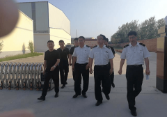 2026年 猫粮狗粮实